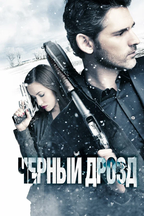 Постер: Чёрный дрозд